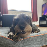 Foto van Fien