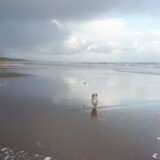 Foto van sylvia