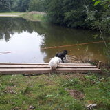 Foto van sylvia