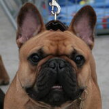 WINATY's AVATAR,jeugdklasse showfoto