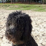 Foto van sylvia