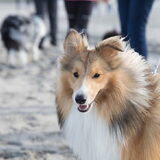Foto van Kath