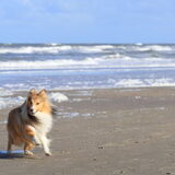 Foto van Kath