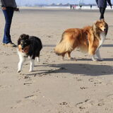 Foto van Kath