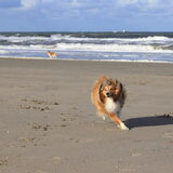 Foto van Kath