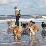 Foto van Kath