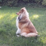 Foto van Kath