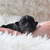 Foto van Tania