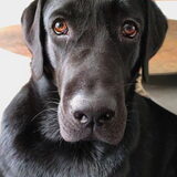 Foto van Carlien