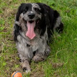 Foto van Sandra Bol