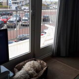 Foto van sylvia