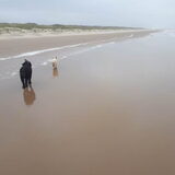 Foto van sylvia