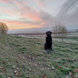 Foto van Carlien
