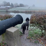 Foto van sylvia