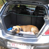 mee in de auto :)