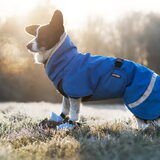Foto van Bush dog