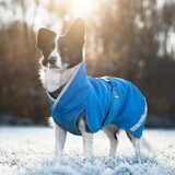 Foto van Bush dog