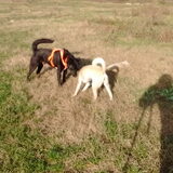 Foto van Hannah & June