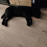 Foto van Carlien