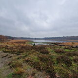 Foto van Dutchshepherdteam