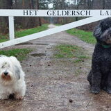 Foto van sylvia