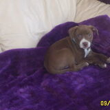 moppie!