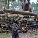 Foto van sylvia
