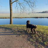 Foto van sylvia