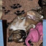 Foto van Wendy