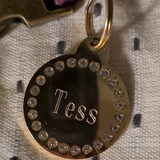 Foto van Tess _ baasje Channah
