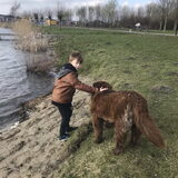 Foto van Willemijn - baasje van Vika .           Bams  en Ogin   ¥ .