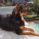 Foto van Blondie