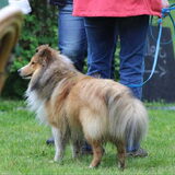 Foto van Kath