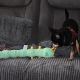 Balou elf jaar.