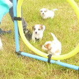 Foto van Heleen