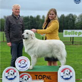 Foto van Sylvia