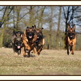 Foto van De Mecheltjes clan