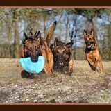 Foto van De Mecheltjes clan