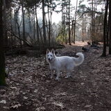 Foto van Hetty & Skipper