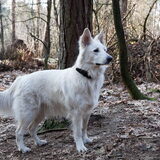Foto van Hetty & Skipper