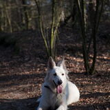 Foto van Hetty & Skipper