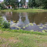 Foto van sylvia