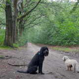 Foto van sylvia