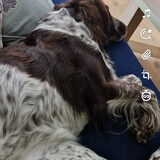 Foto van chay & dolci