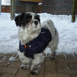Foto van Baasje van Spaiky† en Odie