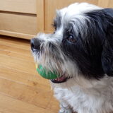 Foto van Baasje van Spaiky† en Odie