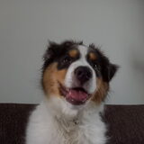 Foto van Baasje van Spaiky† en Odie