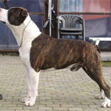 Dit is de papa van haico :-)