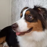 Foto van Baasje van Spaiky† en Odie