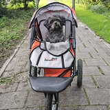 Foto van Milou